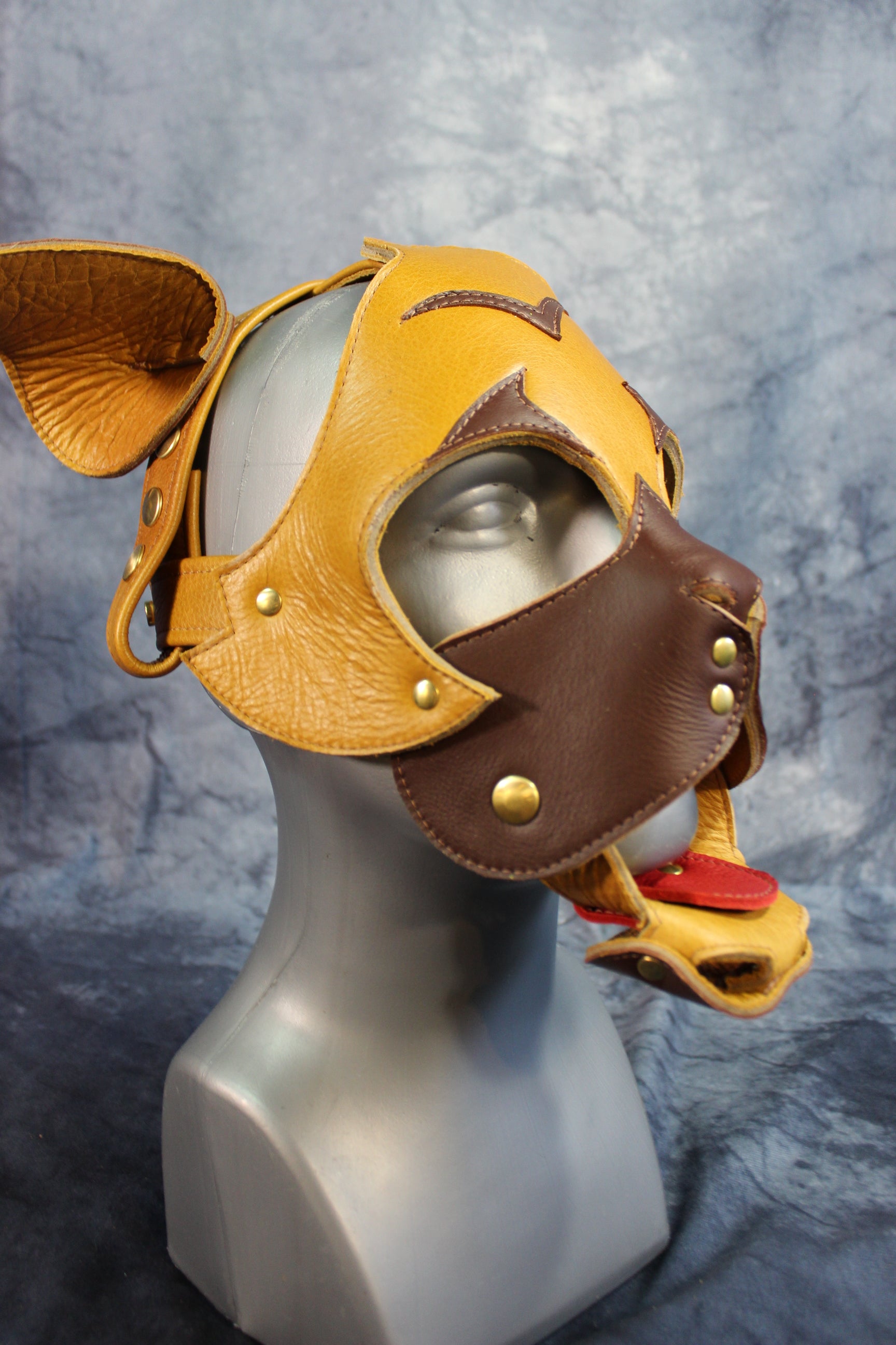 Pug Style Pup Hood