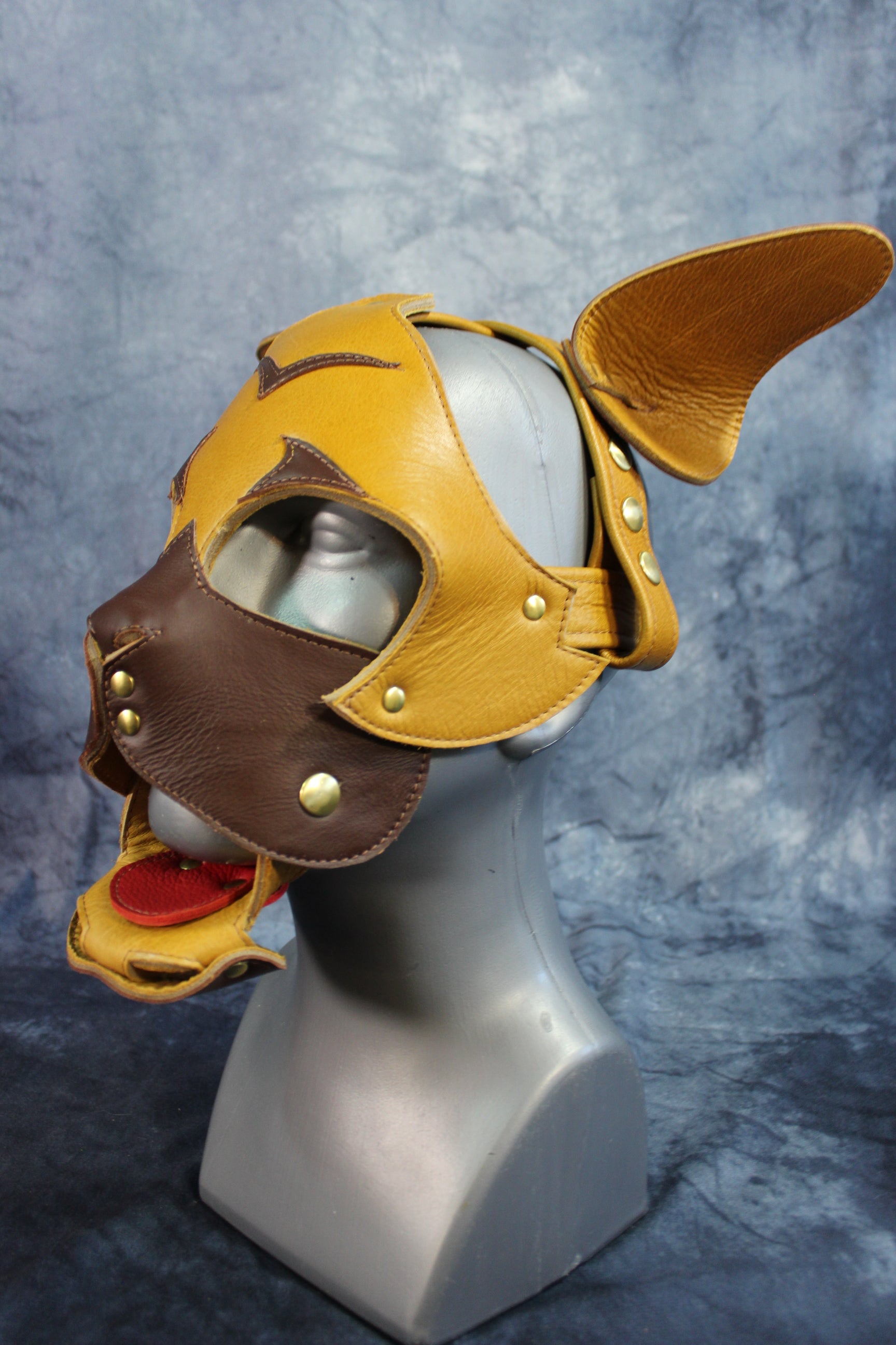 Pug Style Pup Hood