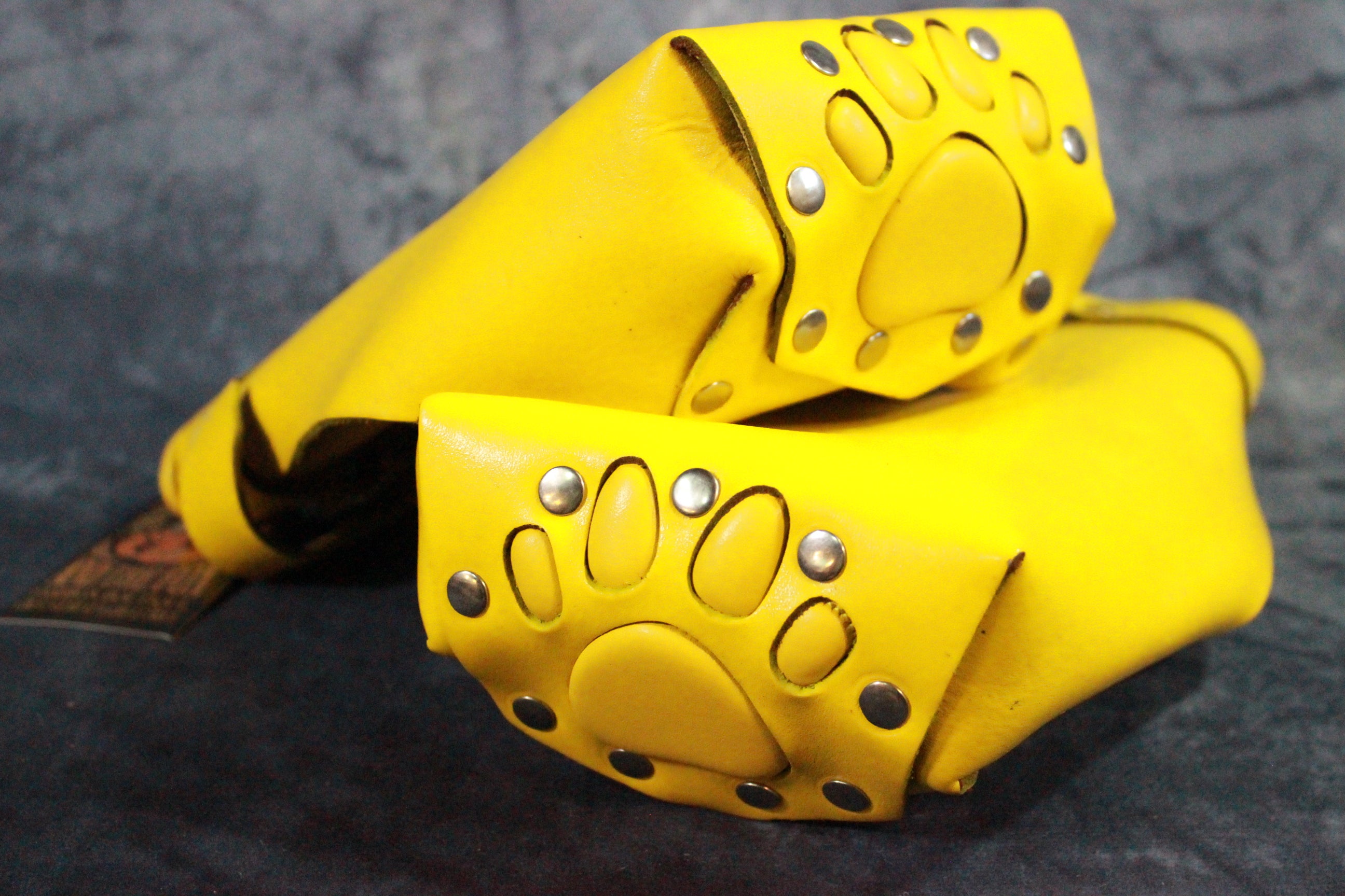 Puppy Paw Mitts by Otter and Fox