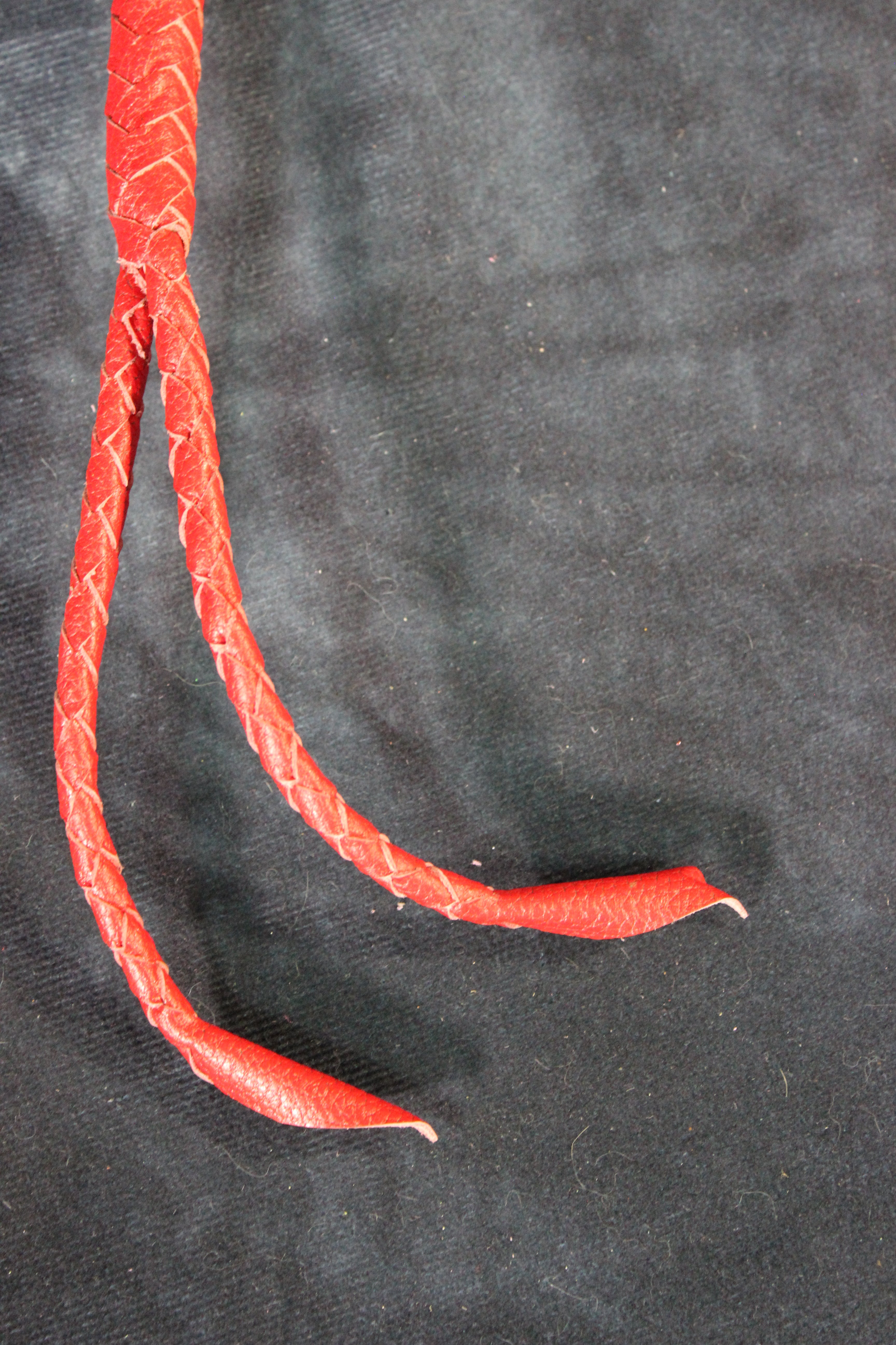 Snakebite Whip by The Otter and The Fox