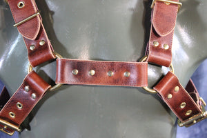 Mottled Latigo Bulldog Harness with Buckles