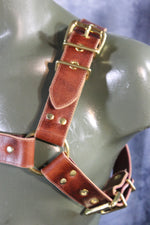 Mottled Latigo Bulldog Harness with Buckles