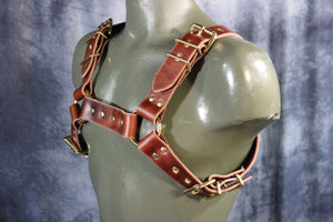 Mottled Latigo Bulldog Harness with Buckles