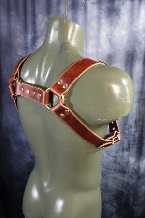 Mottled Latigo Bulldog Harness with Buckles