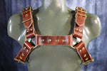 Mottled Latigo Bulldog Harness with Buckles