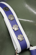 Harnais pour chiots de service