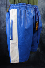 Pantalones cortos de baloncesto en azul y blanco