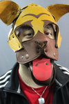 Pug Style Pup Hood