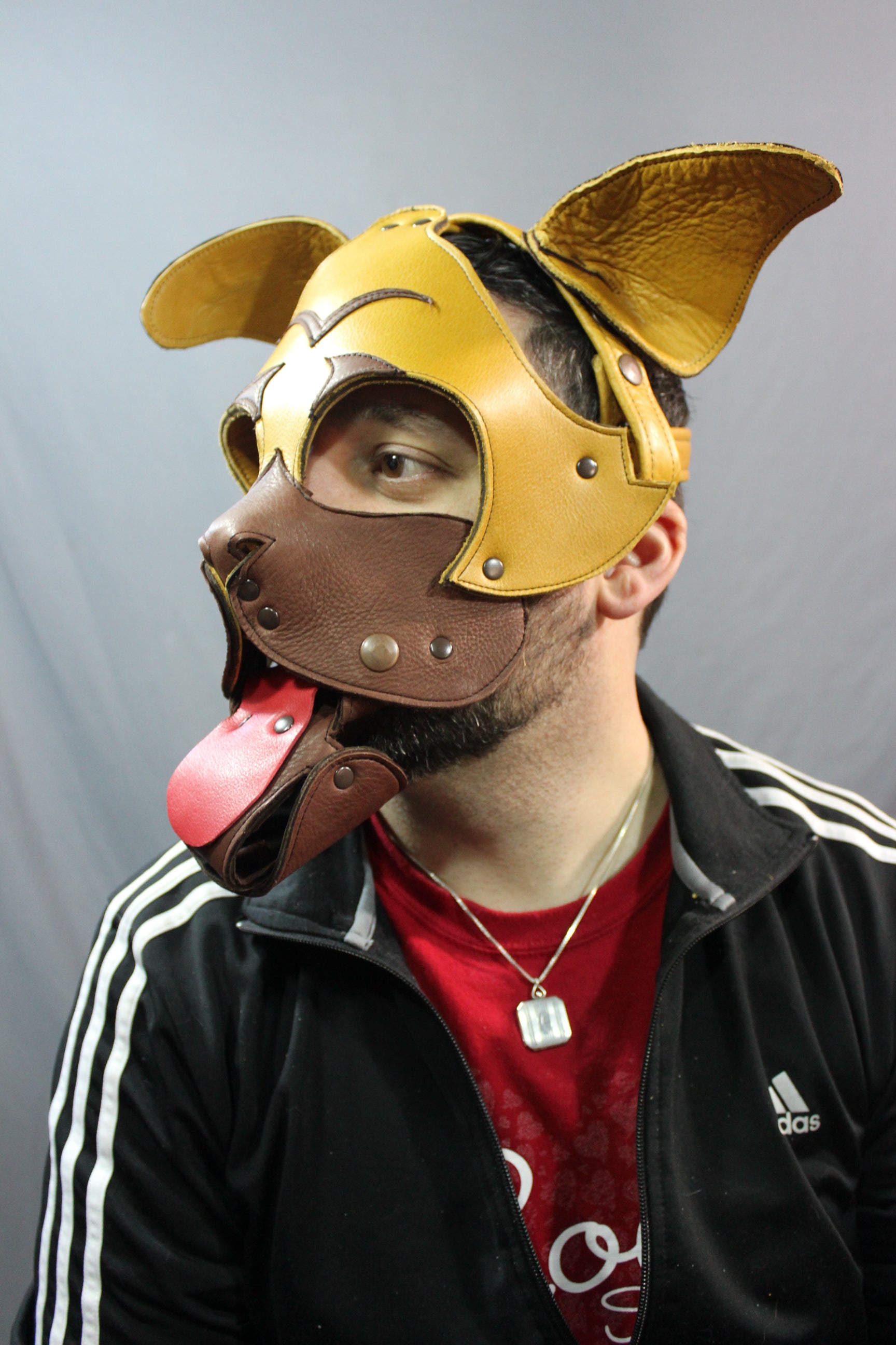 Pug Style Pup Hood