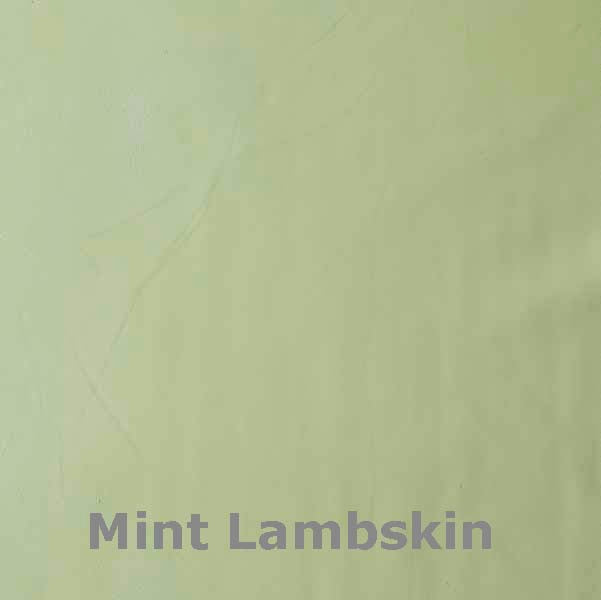 Leather Guayaberas Shirt