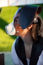 Beagle Style Pup Hood