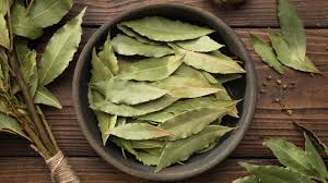 Bay Leaves – Ritual Herb for Spells, Manifestation & Protection