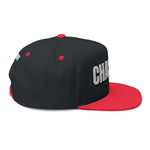 INTO: CHASTITY Embroidered Flat Bill Cap – Kink Hat for Caged Subs, Keyholder Dynamics & Erotic Denial Enthusiasts