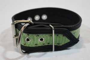 Collar de piel de serpiente