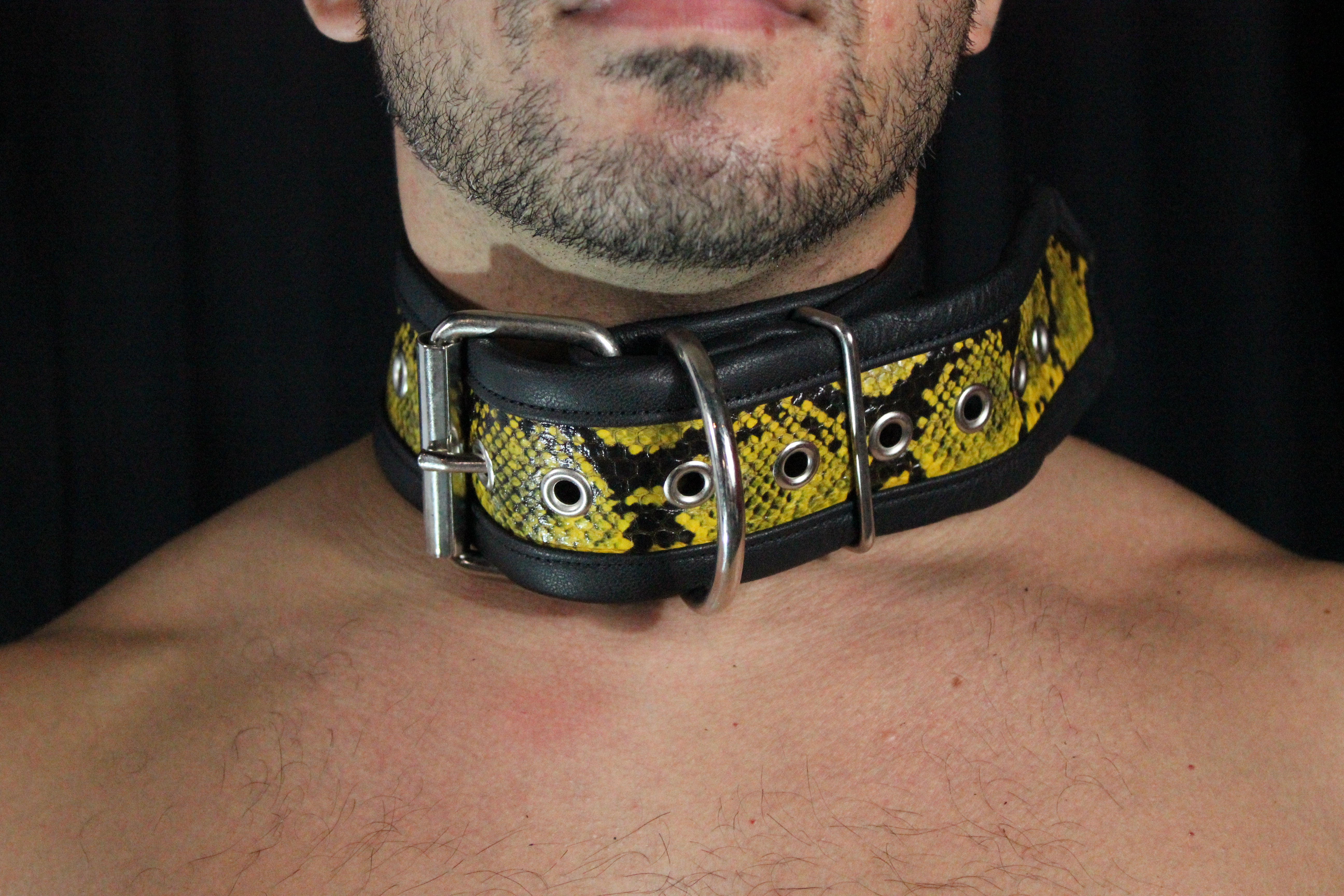 Collar de piel de serpiente