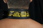 Collar de piel de serpiente