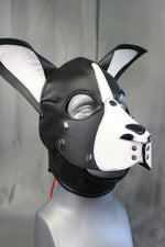 Boston Terrier Whole Head Pup Hood