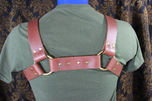 Classic Latigo Bulldog Harness