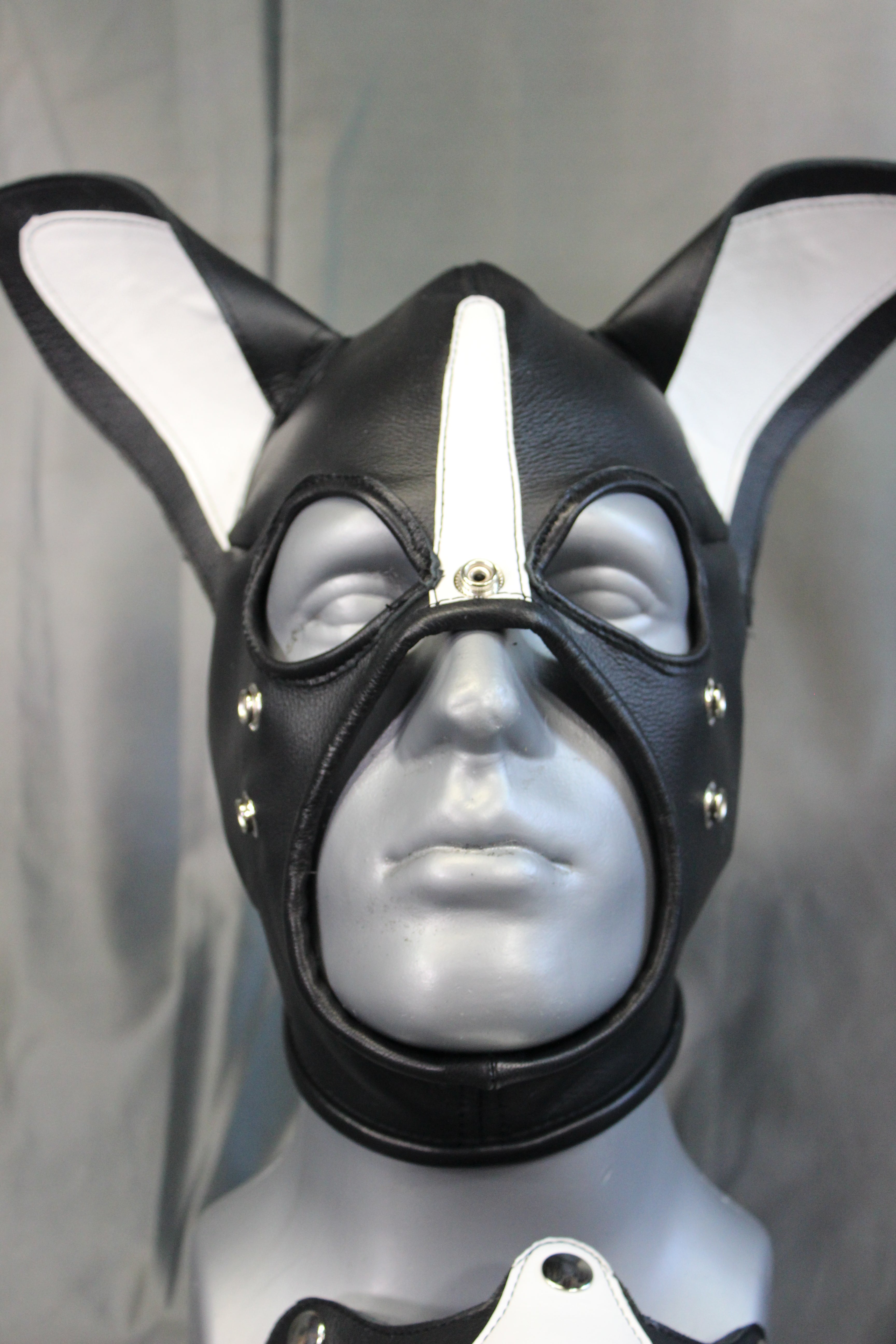 Boston Terrier Whole Head Pup Hood