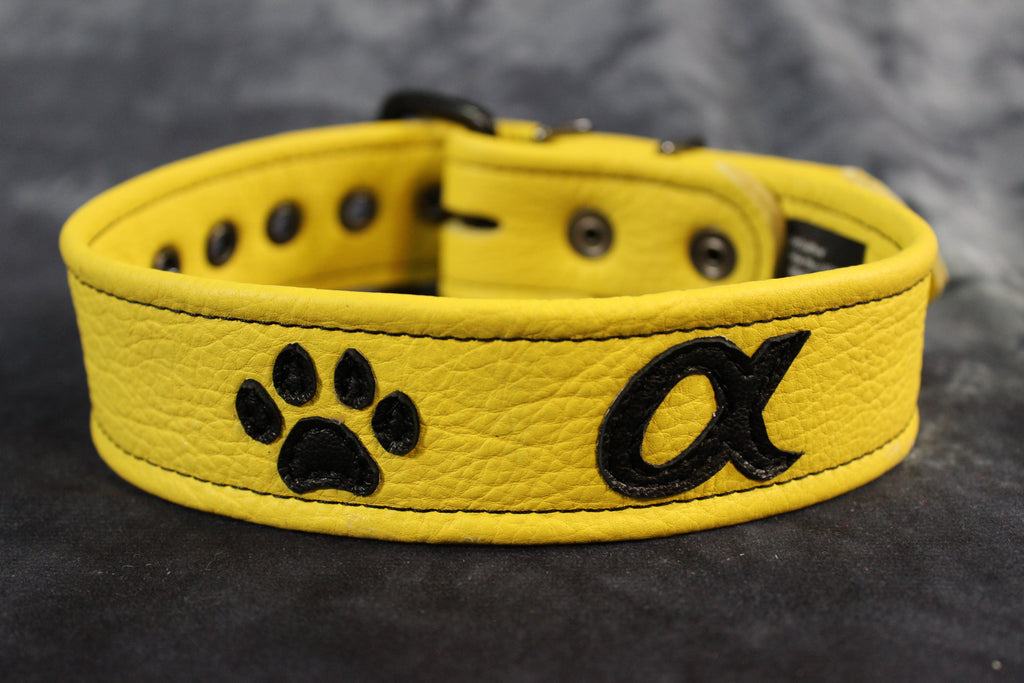 Alpha Pup Buckled Armband
