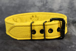 Alpha Pup Buckled Armband