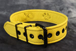 Alpha Pup Buckled Armband