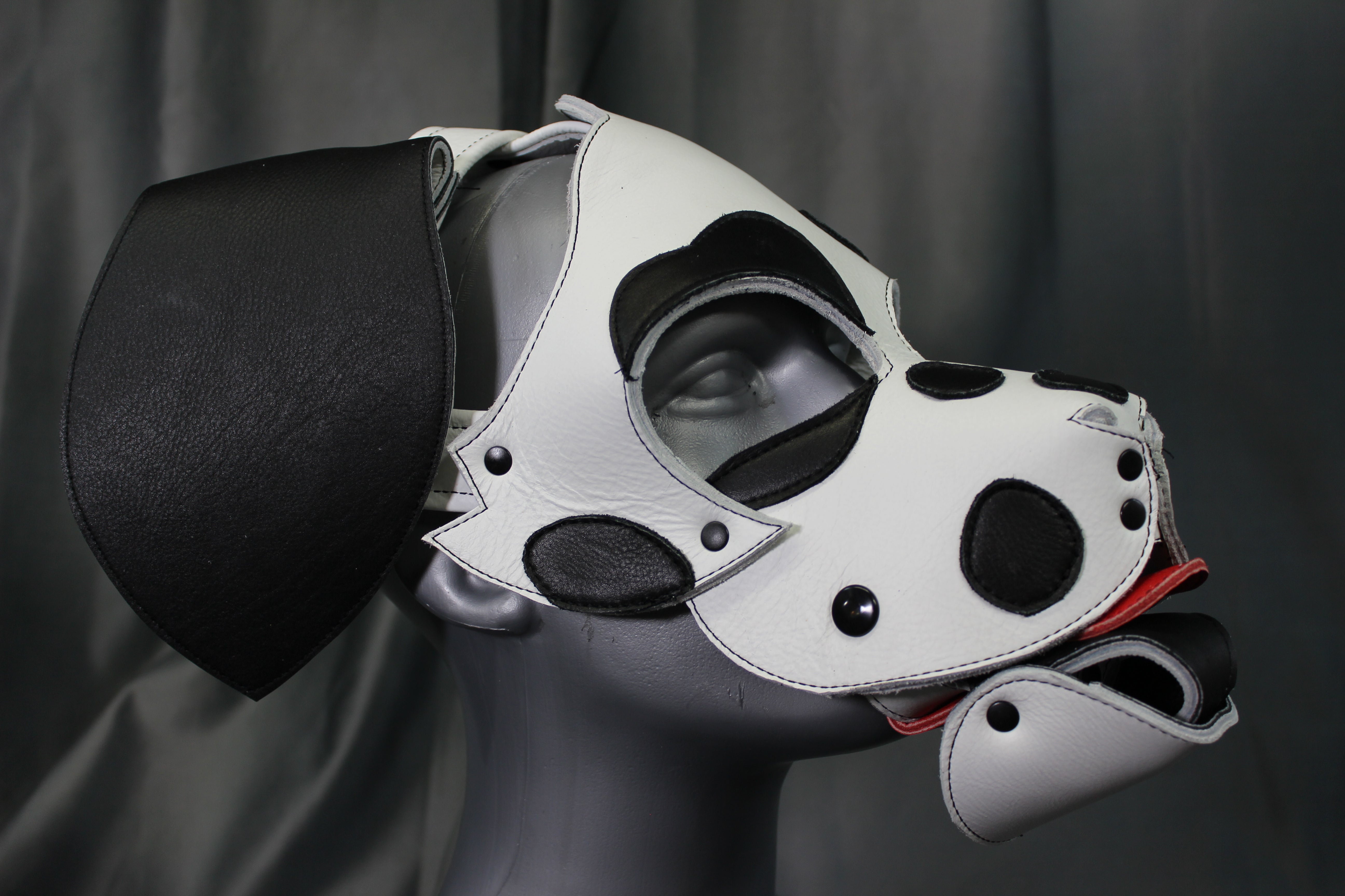 Dalmation Pup Hood