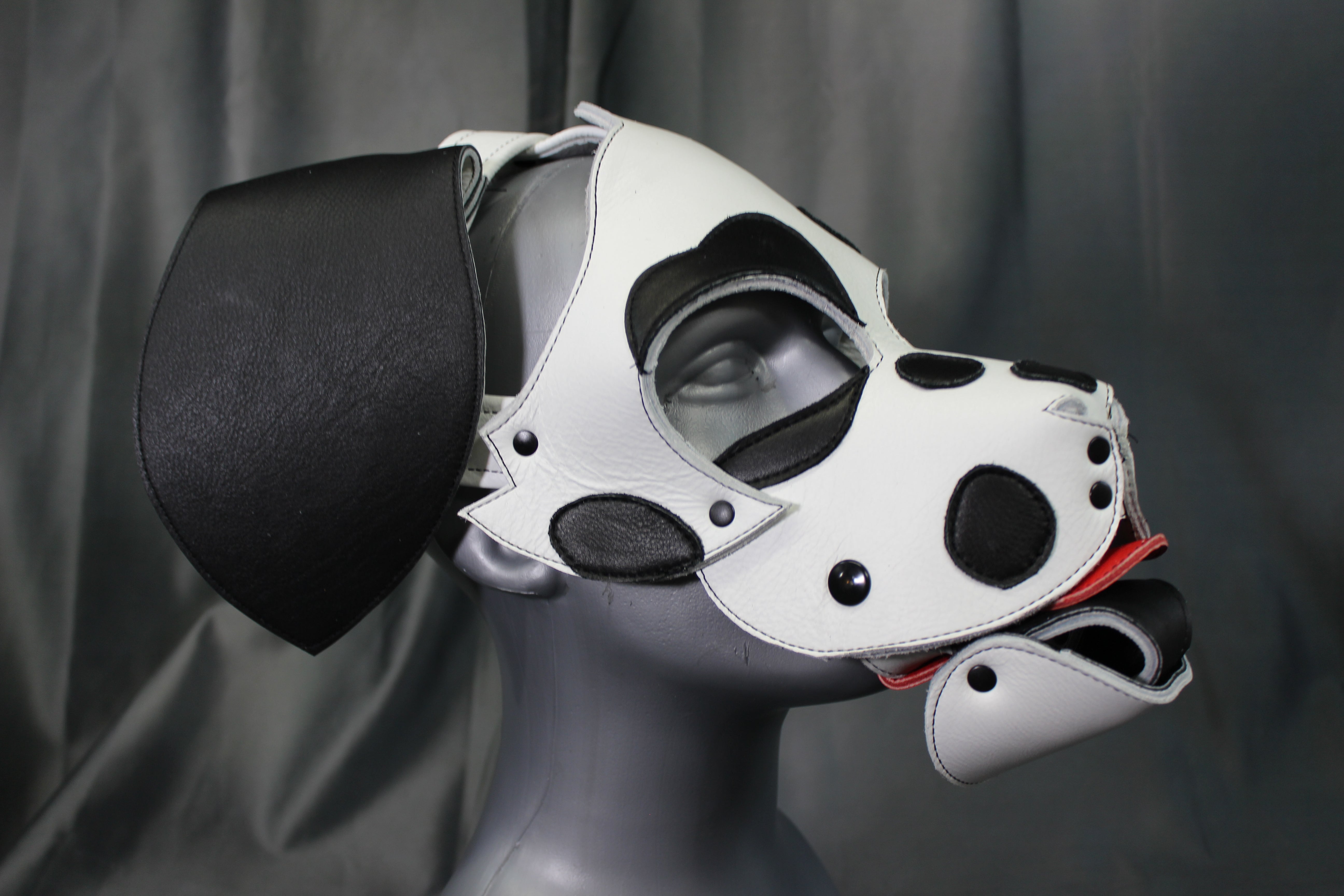 Dalmation Pup Hood