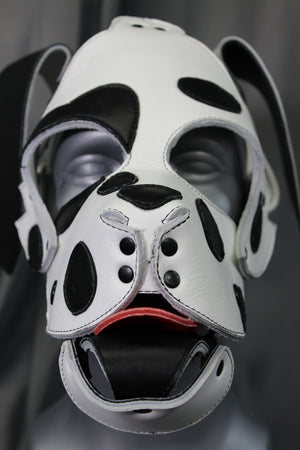 Dalmation Pup Hood