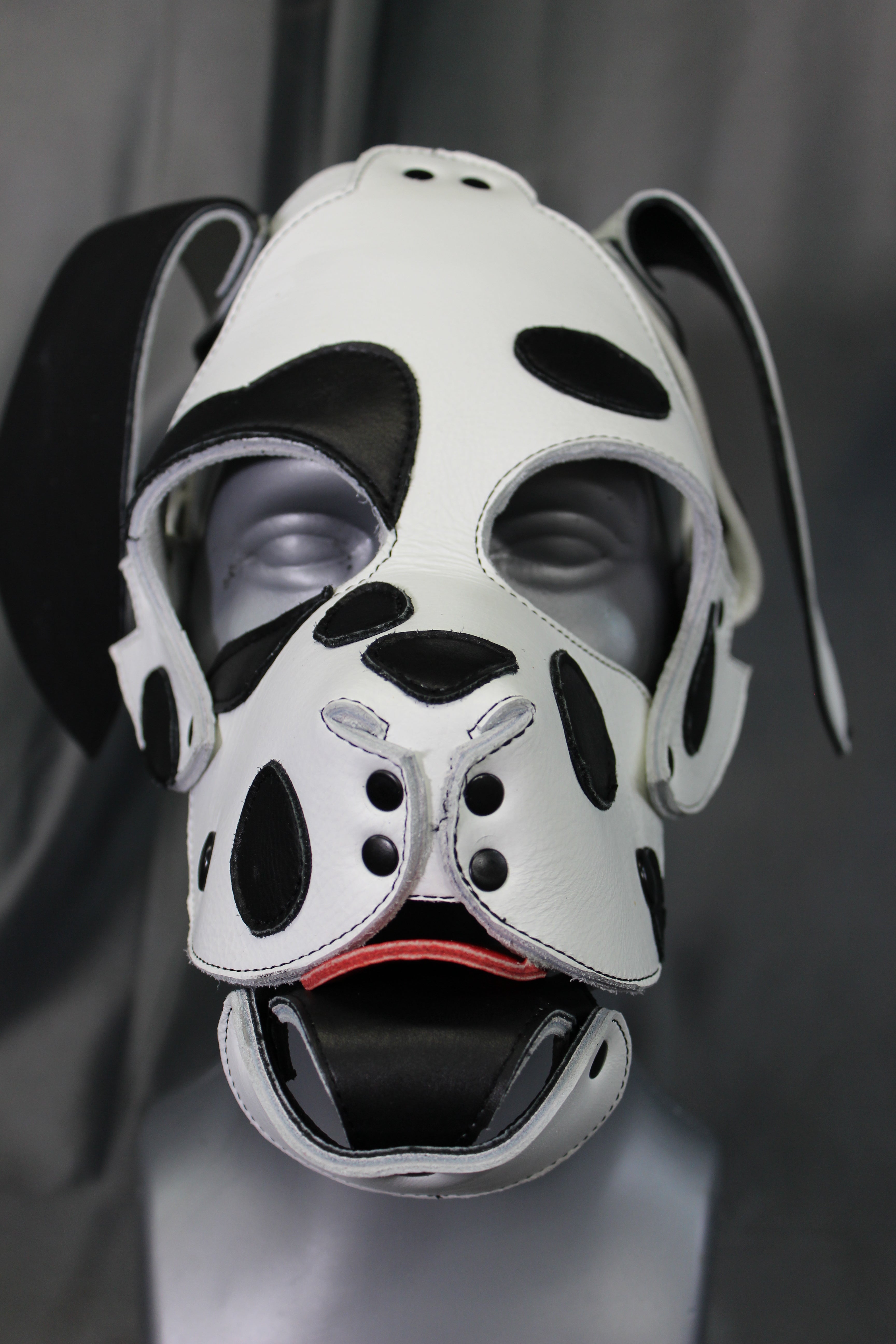 Dalmation Pup Hood