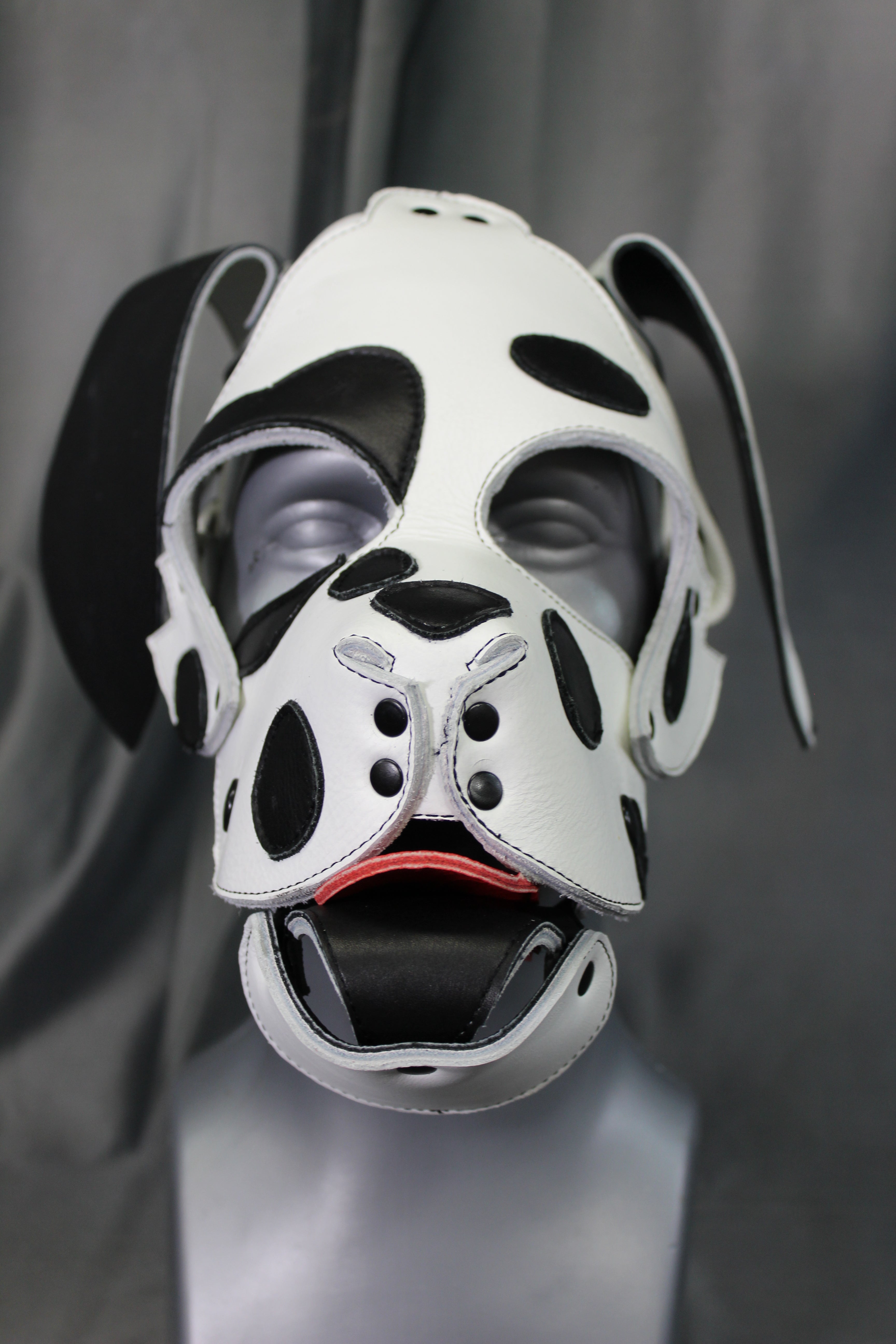 Dalmation Pup Hood