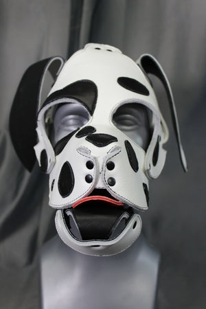 Cagoule pour chiot Dalmatien