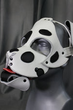 Dalmation Pup Hood