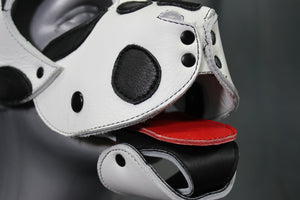 Dalmation Pup Hood