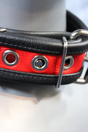 Locking Two-Tone Collar - Recessed Stripe Construction