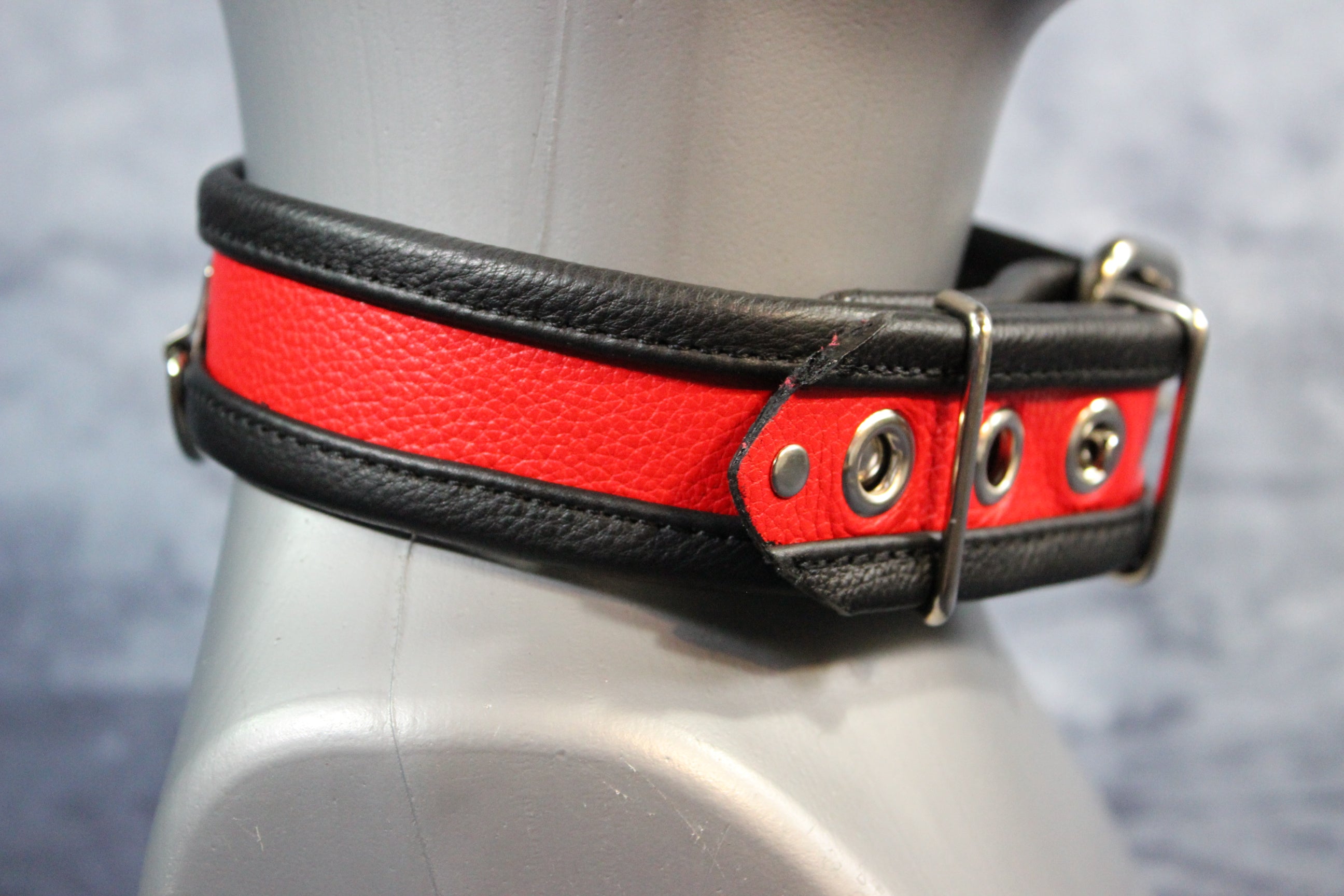 Locking Two-Tone Collar - Recessed Stripe Construction