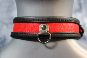 Locking Two-Tone Collar - Recessed Stripe Construction