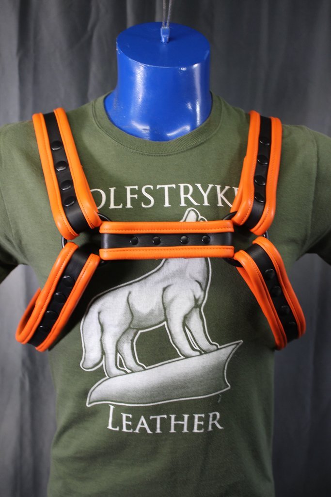 Two-Tone Bulldog Harness