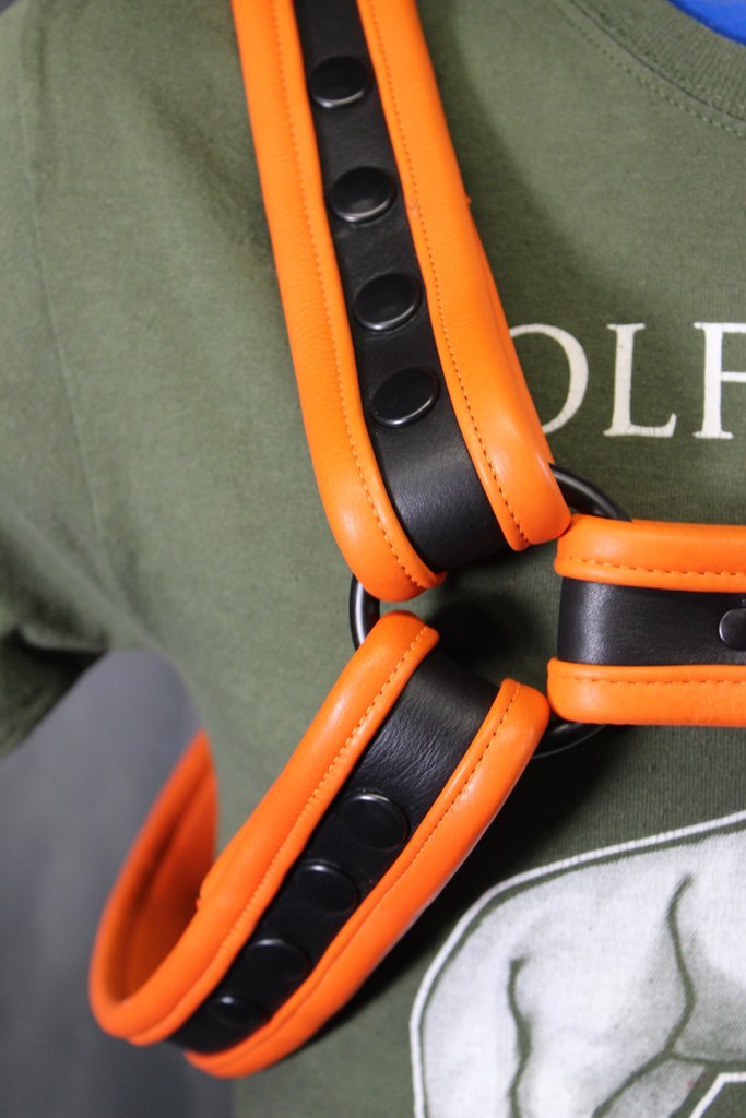 Two-Tone Bulldog Harness