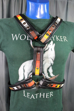 Bear Pride Extended X Harness