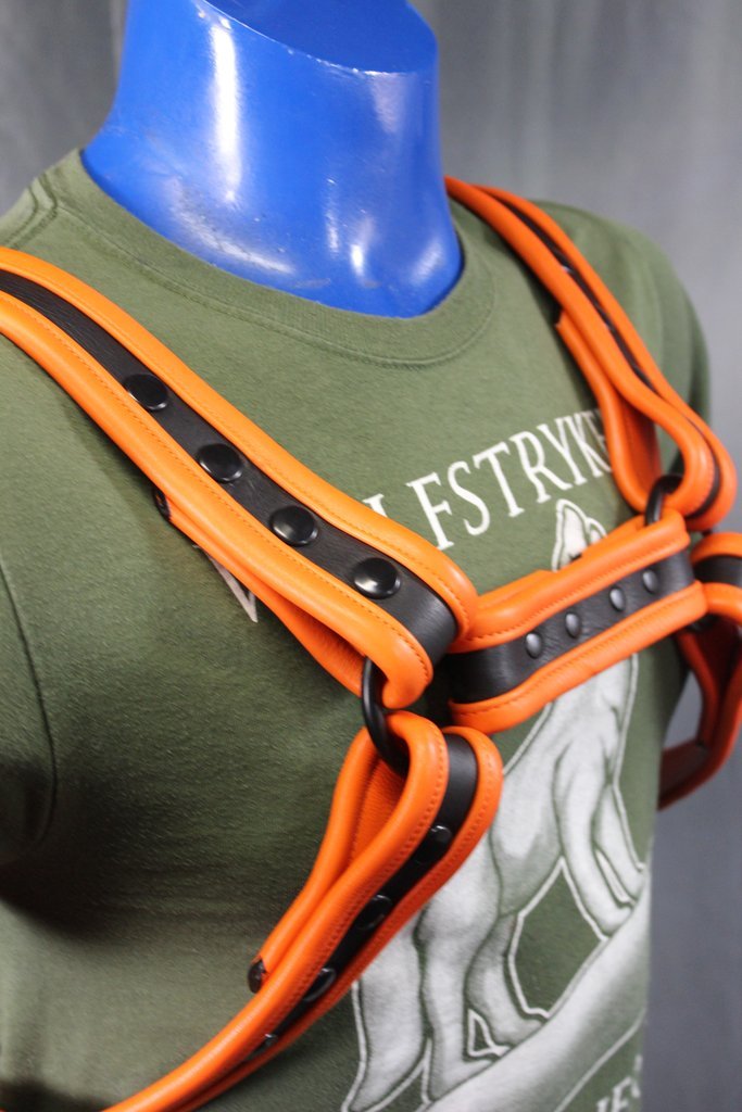 Two-Tone Bulldog Harness