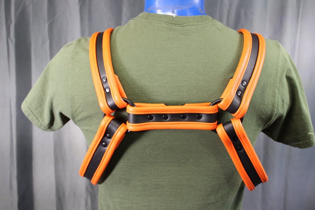 Two-Tone Bulldog Harness