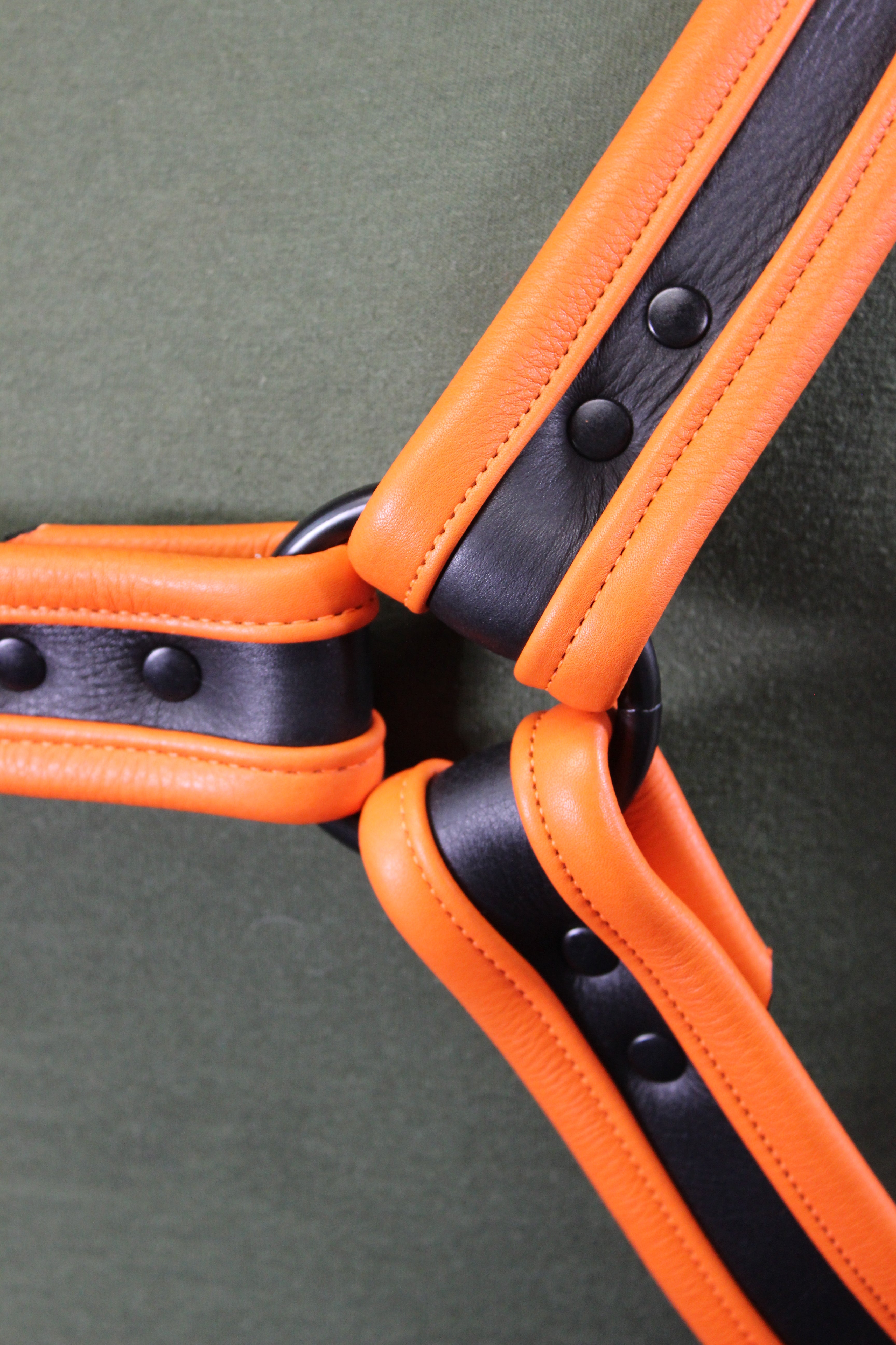 Black and Orange Bulldog Harness - Our Softest Leather!