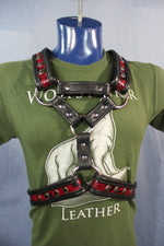 Triangle Front Extended X-Harness - Black Edging with Red & Black Snakeskin