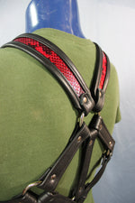 Triangle Front Extended X-Harness - Black Edging with Red & Black Snakeskin