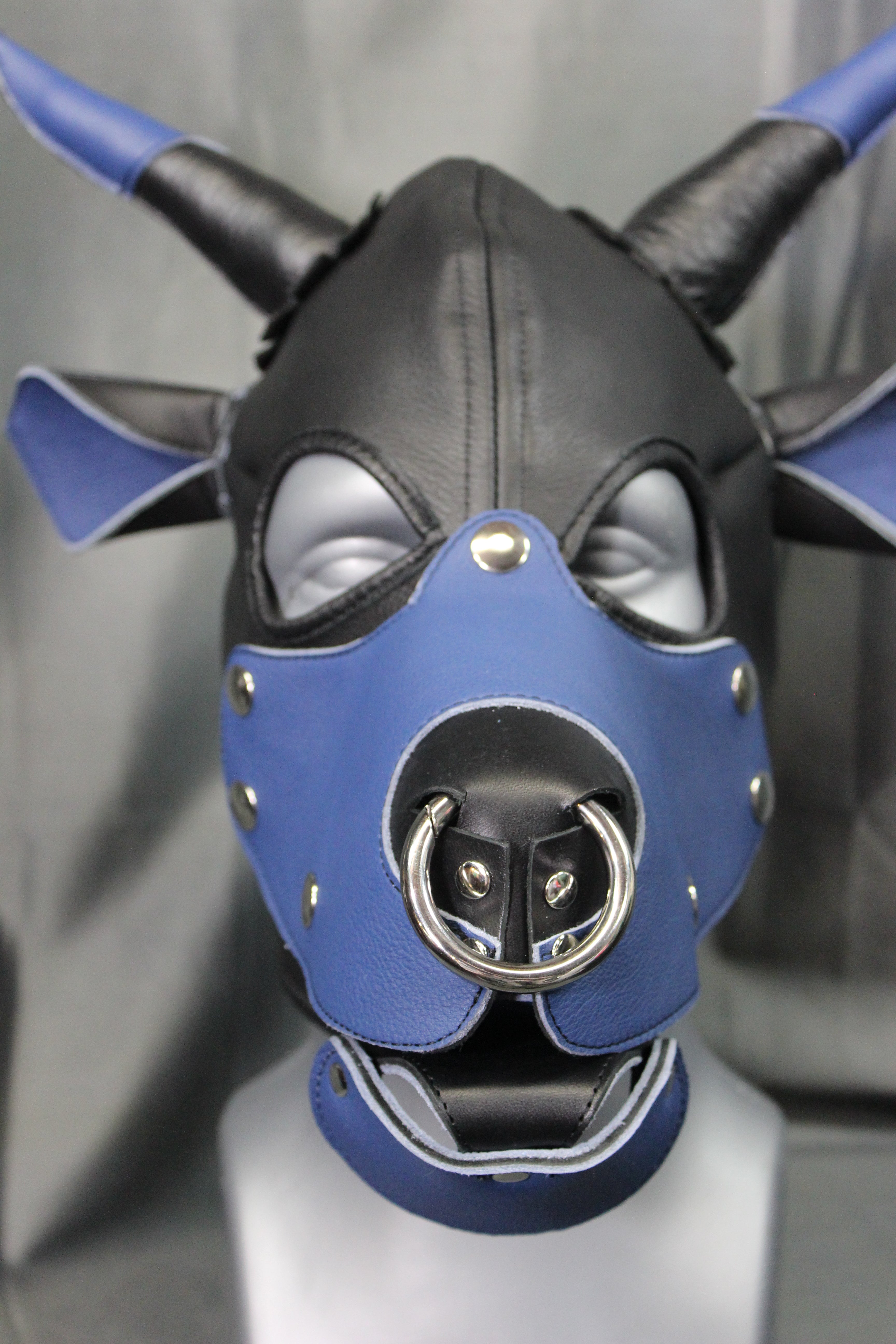 Bull Hoods in COLOR!