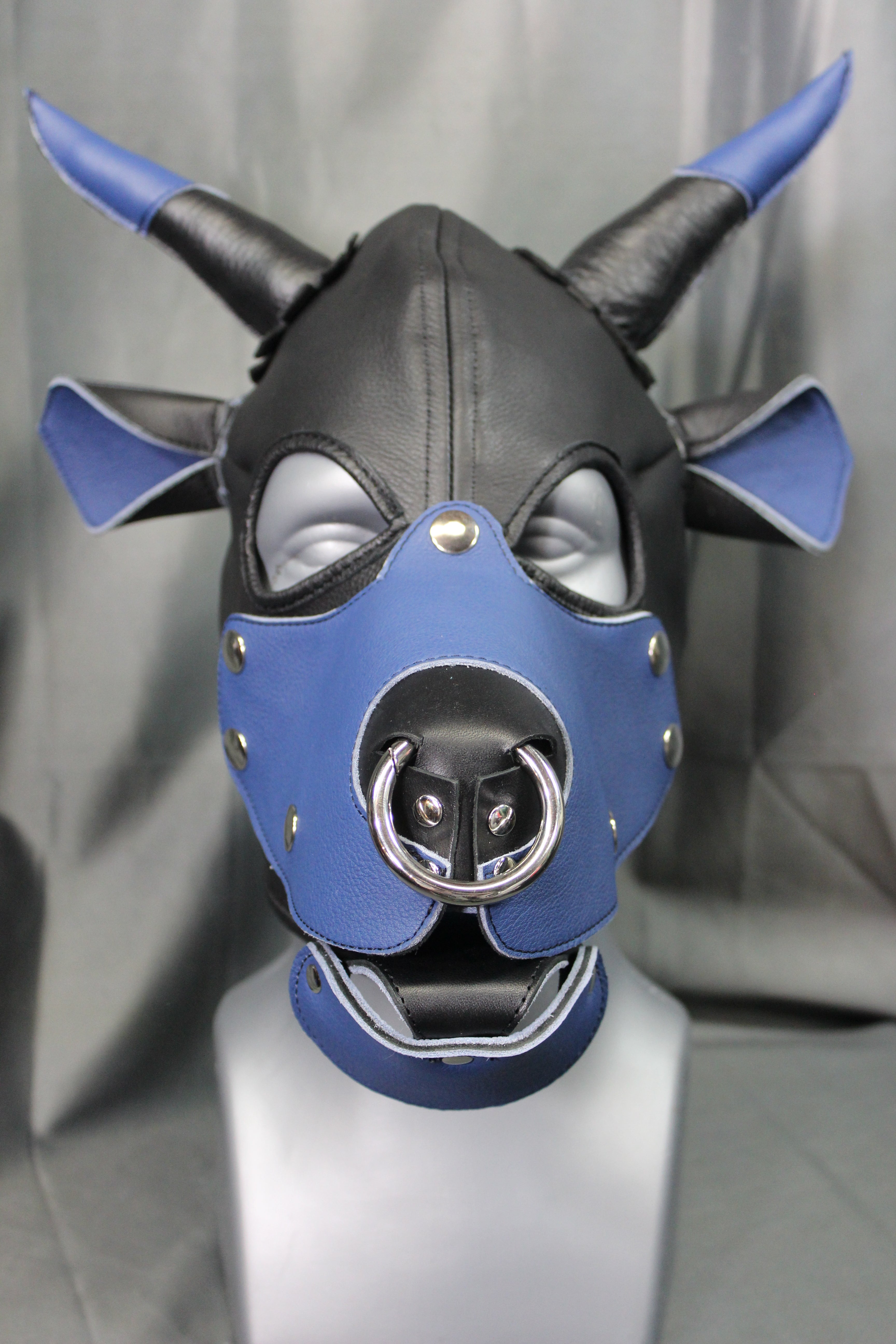 Bull Hoods in COLOR!