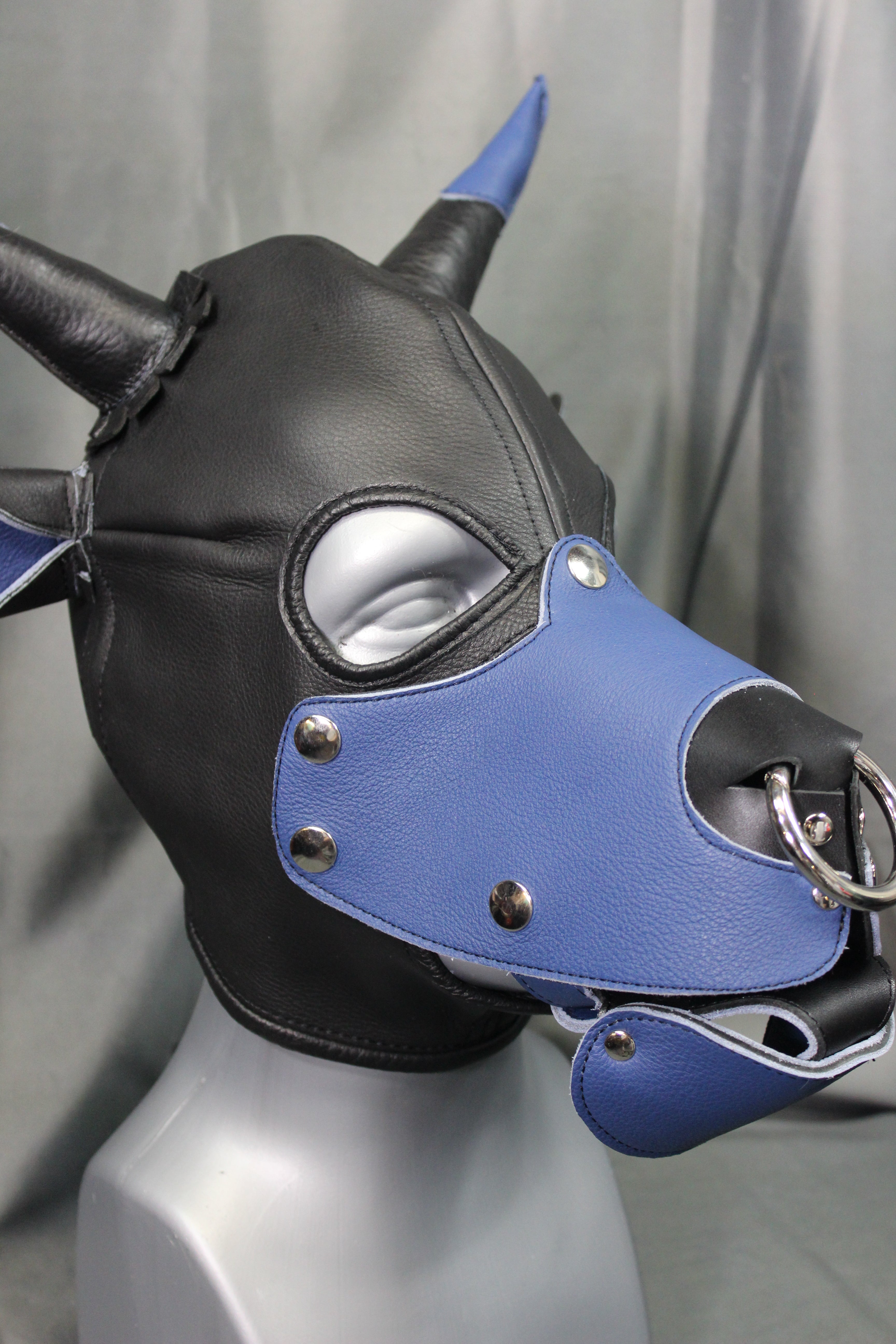 Bull Hoods in COLOR!