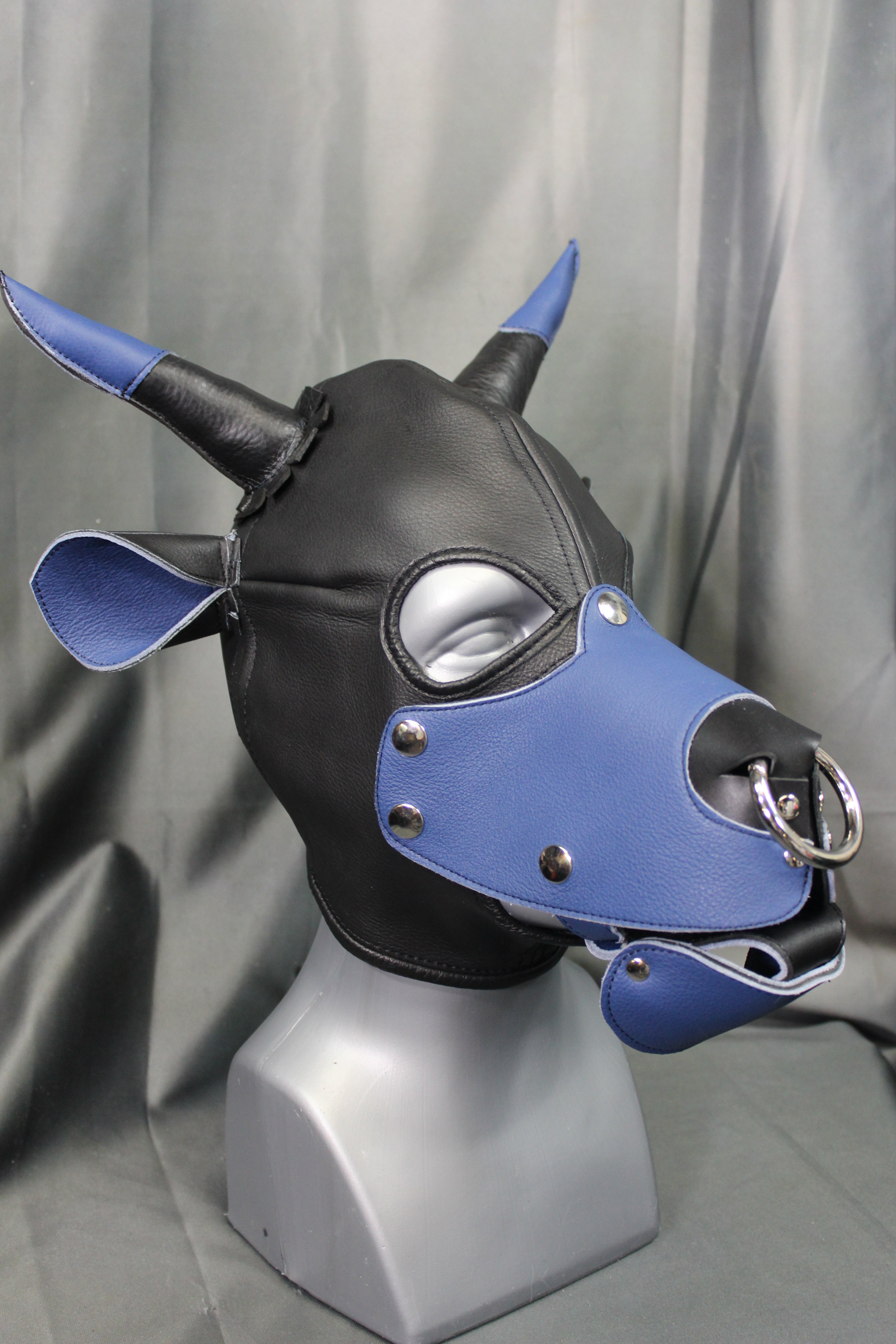 Bull Hoods in COLOR!