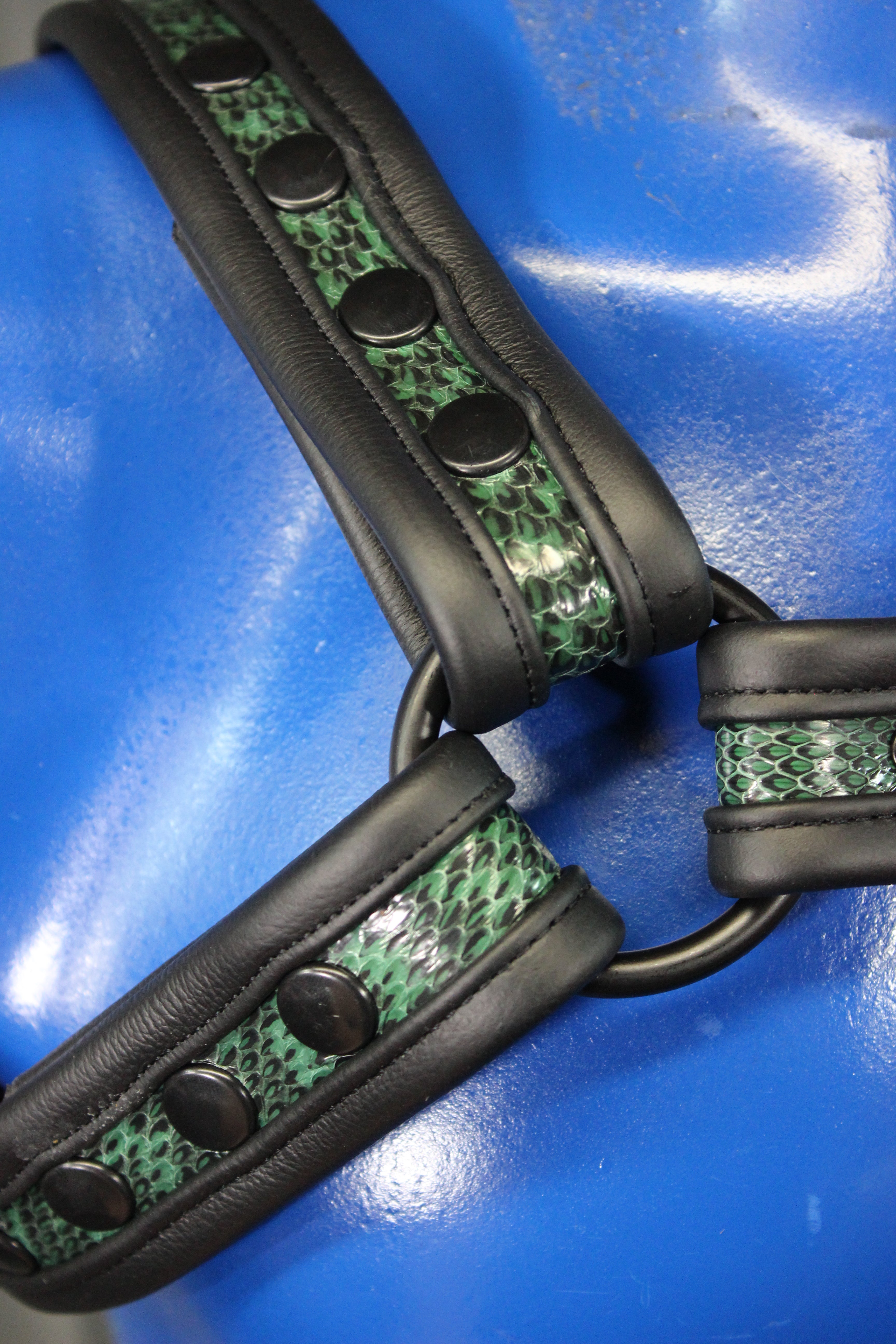 Snakeskin Bulldog Harness